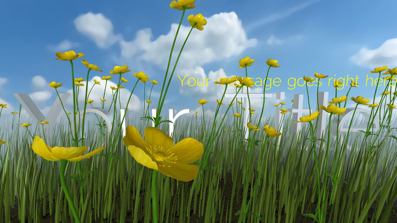 Flowers